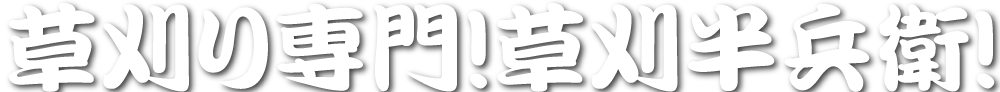 SAMPLE COMPANY